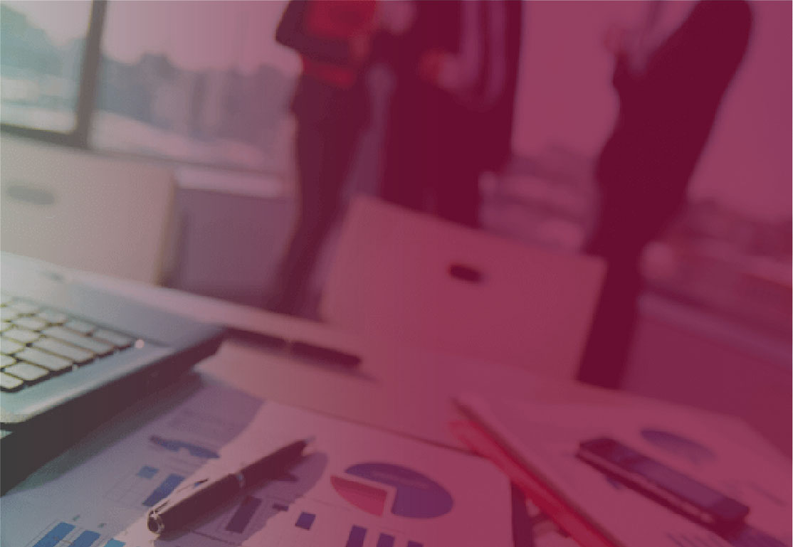 Profesional revisando documentos